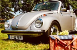 VW Käfer mieten mit Picknick Hamburg (8 Std.)