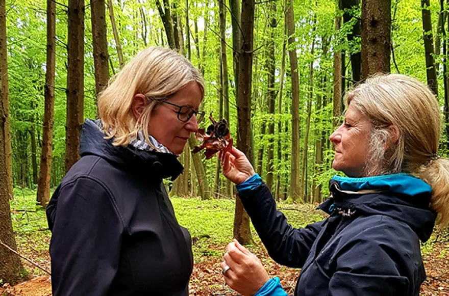 Waldbaden-Durchatmen im Wald