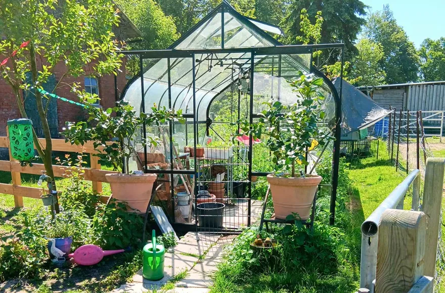 Waldbaden mit Alpakas für 2 (1 Nacht)