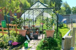 Waldbaden mit Alpakas für 2 (2 Nächte)