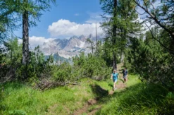 Wanderreise Norditalien (7 Nächte)