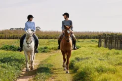 Wanderreiten