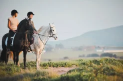Wanderreiten