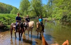 Wanderreiten Aschbach