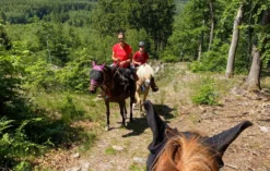 Wanderreiten Aschbach
