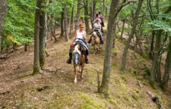 Wanderreiten Aschbach