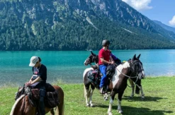 Wanderreiten Aschbach (1 Nacht)