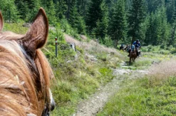 Wanderreiten Aschbach (1 Nacht)