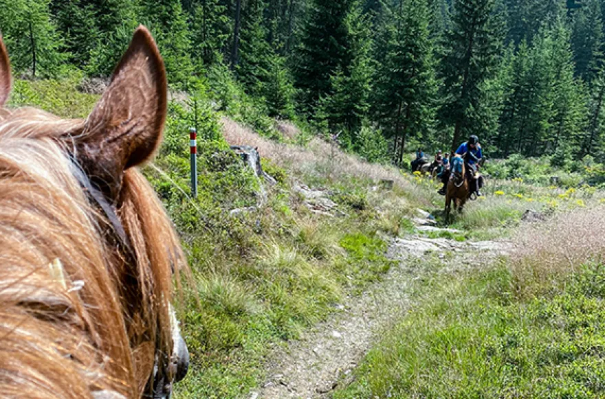 Wanderreiten Aschbach (1 Nacht)