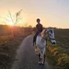 Wanderreiten Kapelln