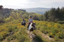 Wanderreiten mit Picknick Weiler bei Monzingen