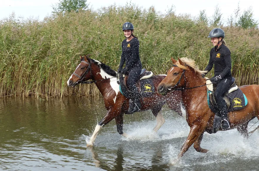 Wanderreiten mit Verpflegung