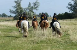 Wanderreiten mit Verpflegung
