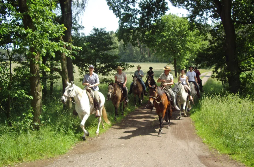 Wanderreiten Neustadt am Rübenberge