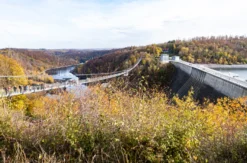 Wanderung inkl. Bierverkostung Oberharz am Brocken
