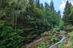 Wanderurlaub im Harz für 2 (2 Nächte)