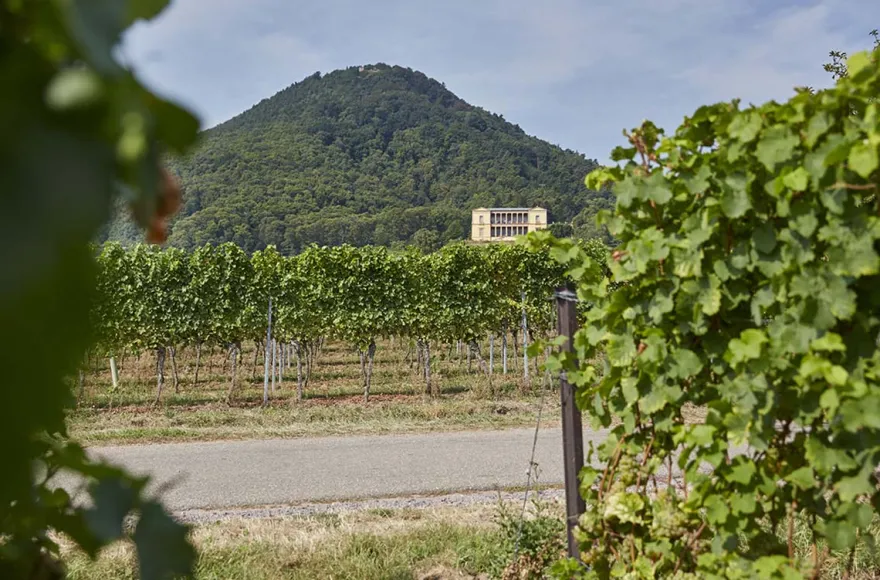 Wanderurlaub mit Weingut-Übernachtung in Rheinland-Pfalz für 2 (2 Nächte)