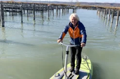 Wasserstepper am Neusiedler See