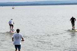 Wasserstepper am Neusiedler See