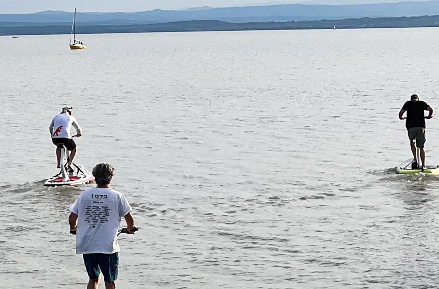 Wasserstepper am Neusiedler See