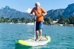 Wasserstepper am Neusiedler See