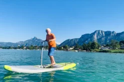 Wasserstepper am Neusiedler See