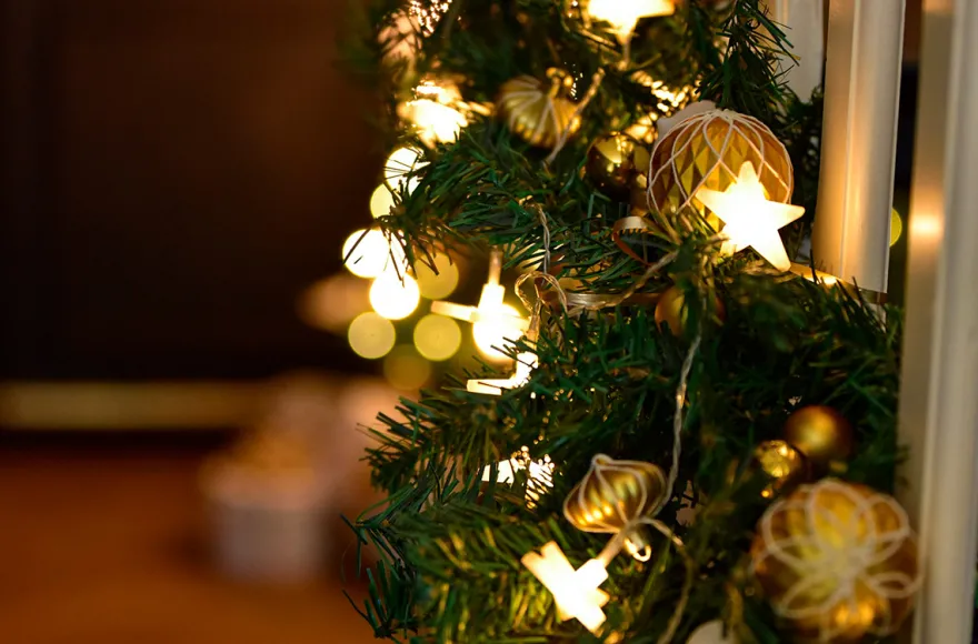 Weihnachtsurlaub an der Nordsee Krumstedt für 8 Personen (7 Nächte)