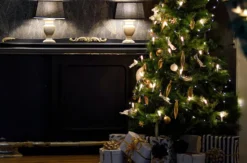 Weihnachtsurlaub Krumstedt für 8 Personen (3 Nächte)