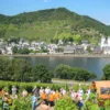 Weinausflug & Schifffahrt auf der Mosel Bullay