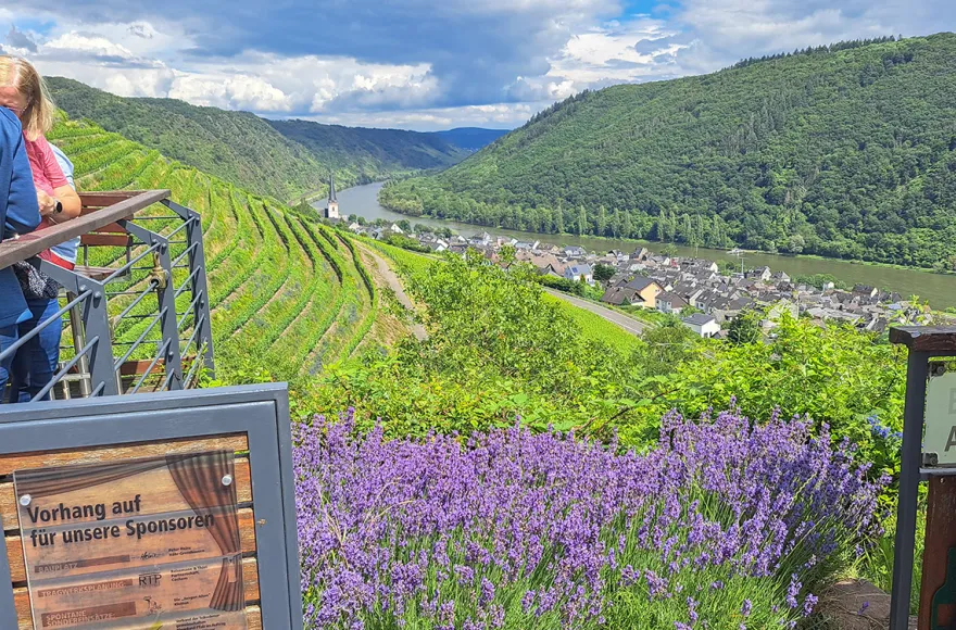 Weinausflug & Schifffahrt auf der Mosel Bullay