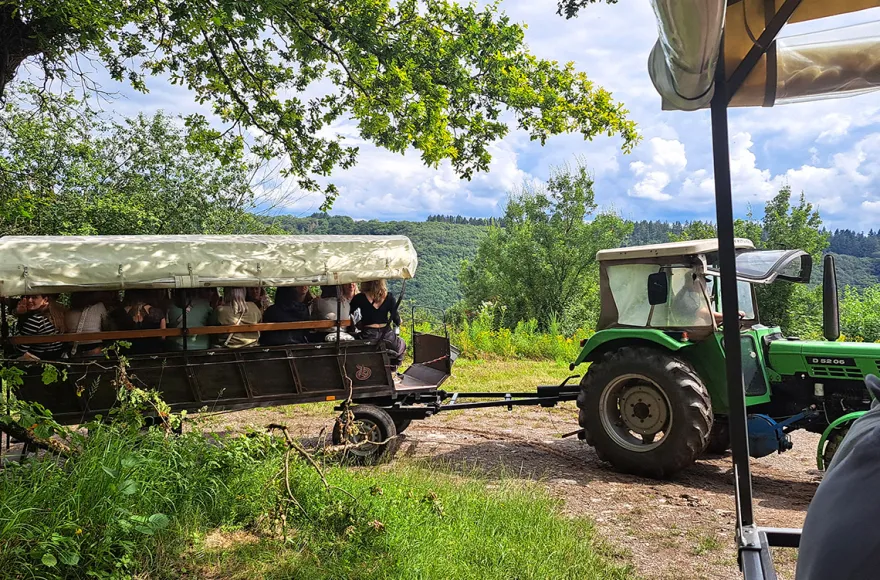 Weinausflug & Schifffahrt auf der Mosel Bullay