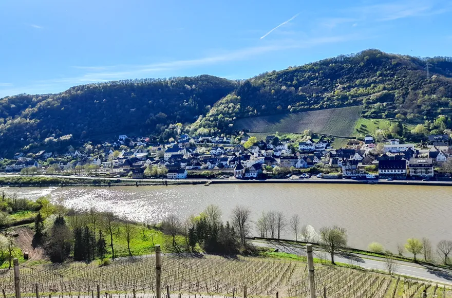 Weinausflug & Schifffahrt auf der Mosel Bullay