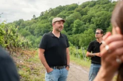 Weinausflug & Schifffahrt auf der Mosel