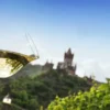 Weinausflug und Schifffahrt auf der Mosel Klotten