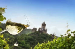Weinausflug und Schifffahrt auf der Mosel Klotten