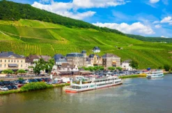 Weinausflug und Schifffahrt auf der Mosel Cochem