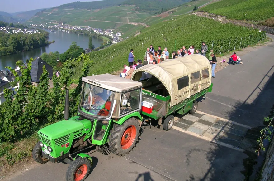 Weinausflug und Schifffahrt auf der Mosel Cochem