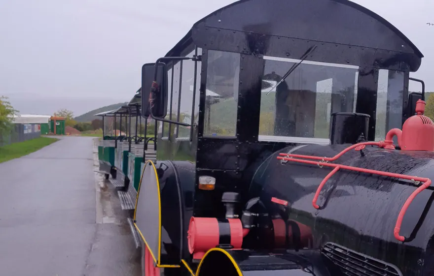 Weinbergrundfahrt mit der Reblaus für 2