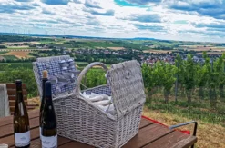 Weinbergwanderung Essenheim
