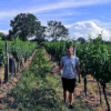Weinbergwanderung Hohenruppersdorf