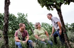 Weinbergwanderung Hohenruppersdorf