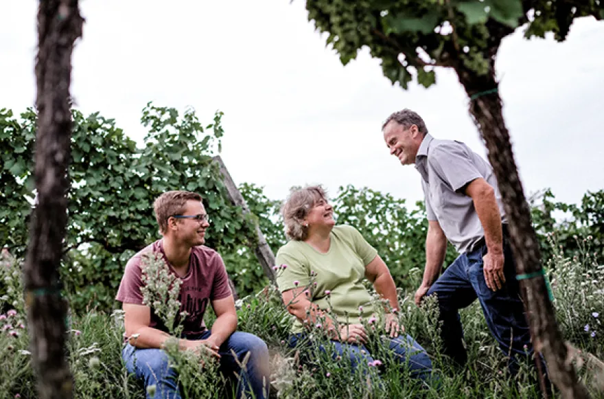 Weinbergwanderung Hohenruppersdorf