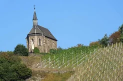 Weinbergwanderung Lorch