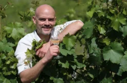 Weinbergwanderung Lorch