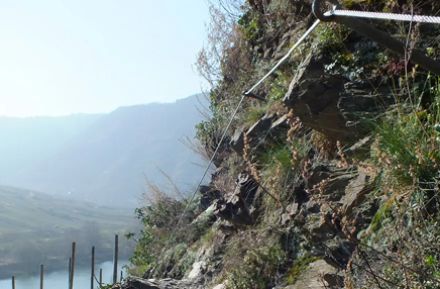 Weinbergwanderung mit Klettersteig an der Mosel