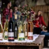 Weinbergwanderung mit Verkostung Worms