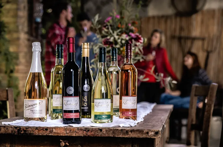 Weinbergwanderung mit Verkostung Worms