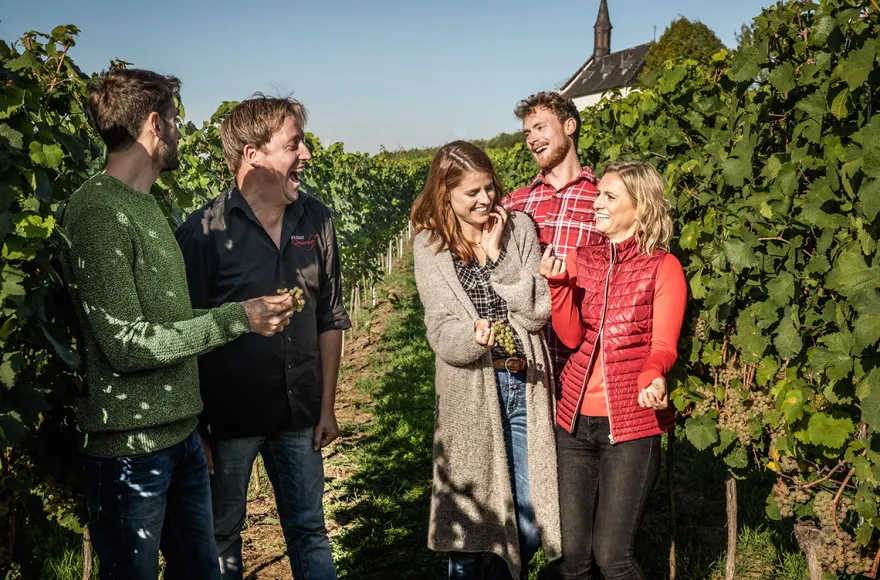Weinbergwanderung mit Verkostung Worms