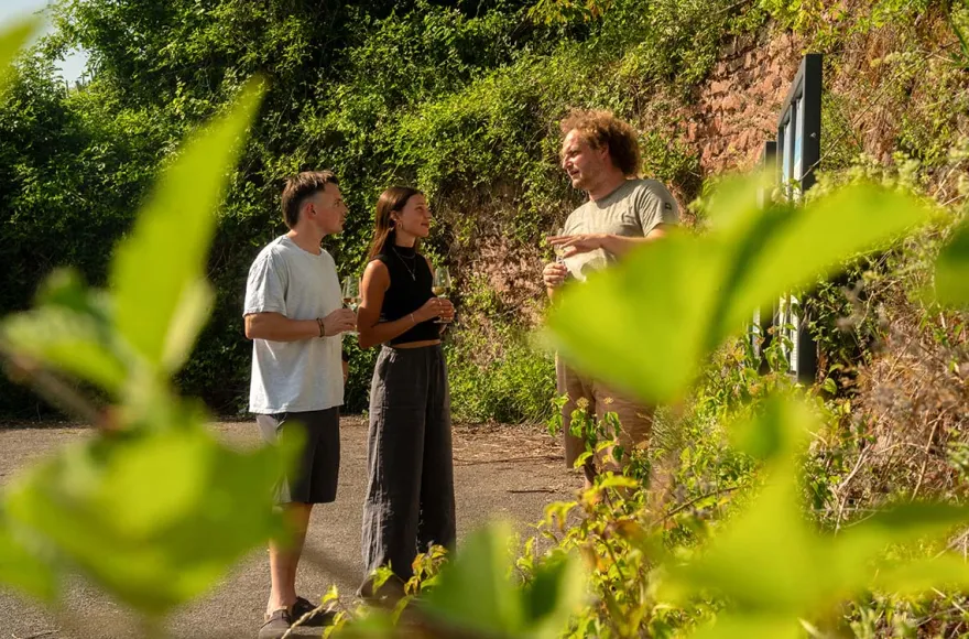 Weinbergwanderung mit Weinverkostung in Rheinland-Pfalz