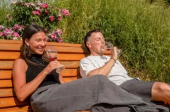 Weinbergwanderung mit Weinverkostung in Rheinland-Pfalz